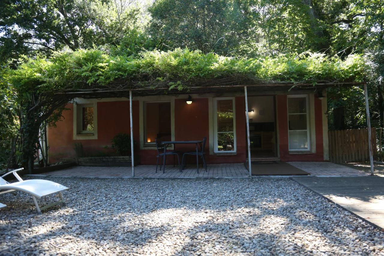 Le Pavillon Vert - B&B Vedène Exterior foto