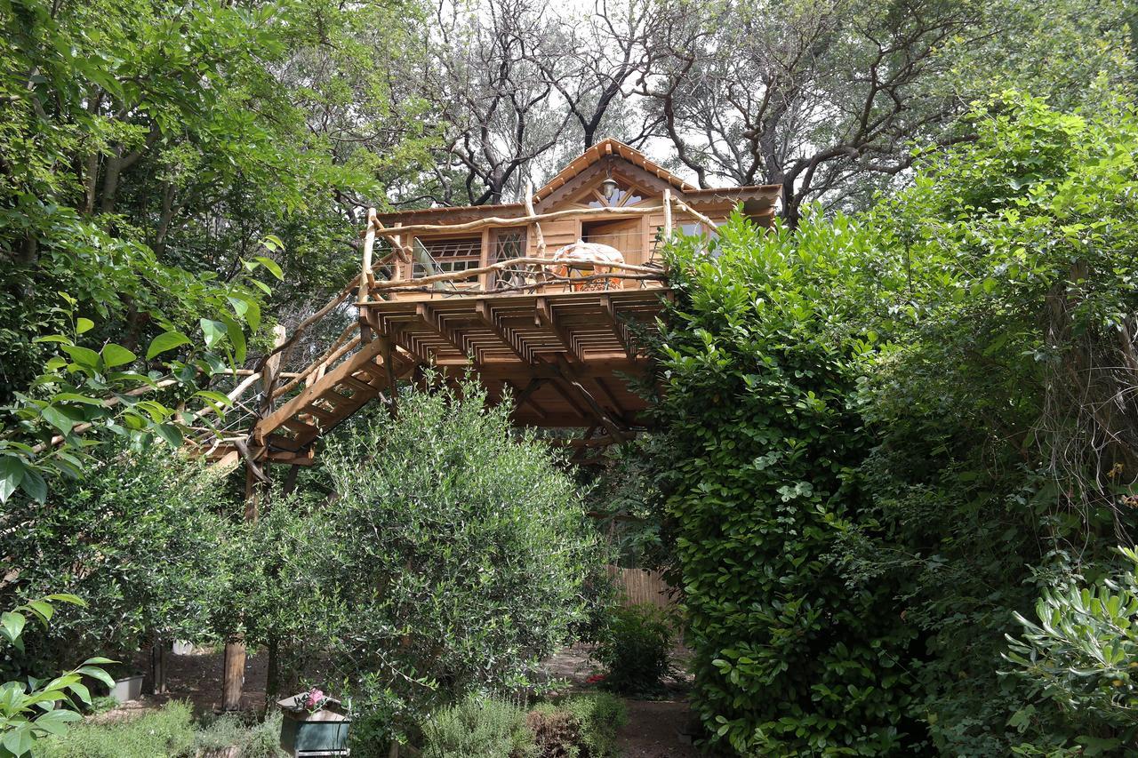Le Pavillon Vert - B&B Vedène Exterior foto